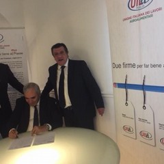 prima firma cerignola