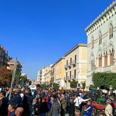Protesta autotrasportatori