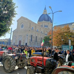 Protesta autotrasportatori