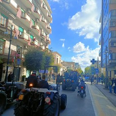 Protesta autotrasportatori