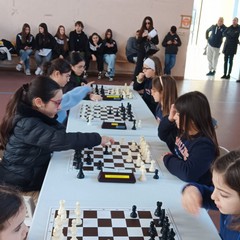 Scacchi Circolo Didattico Marconi di Cerignola