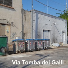 tomba dei galli