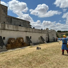 Torre Alemanna rivive il tempo di Federico II
