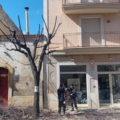 Manutenzione del verde a Cerignola