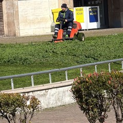 Manutenzione del verde a Cerignola