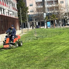 Manutenzione del verde a Cerignola