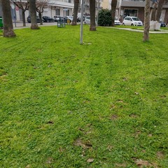 Verde pubblico Cerignola