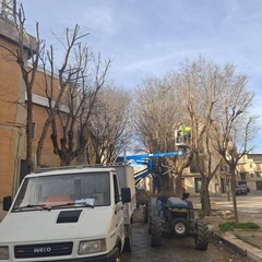 Verde pubblico Cerignola