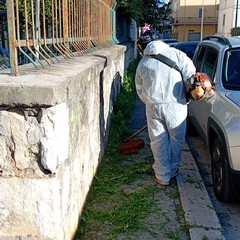 Verde pubblico Cerignola