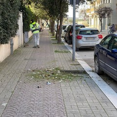 Verde pubblico Cerignola