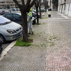 Verde pubblico Cerignola