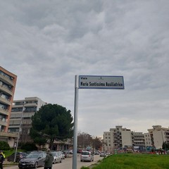 Viale Maria Santissima Ausiliatrice a Cerignola