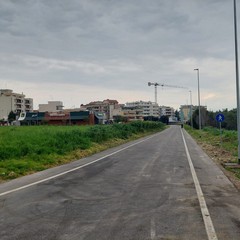 Viale Maria Santissima Ausiliatrice a Cerignola