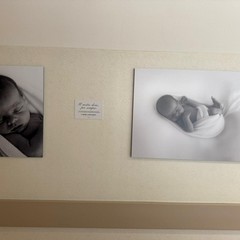 La donazione della fotografa cerignolana Carmela Dellerma all'ospedale Tatarella