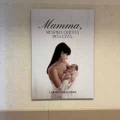 La donazione della fotografa cerignolana Carmela Dellerma all'ospedale Tatarella