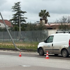 Incidente nei pressi dell'Ospedale Tatarella: due auto coinvolte