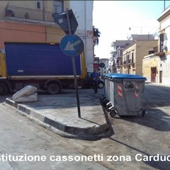 zona carducci