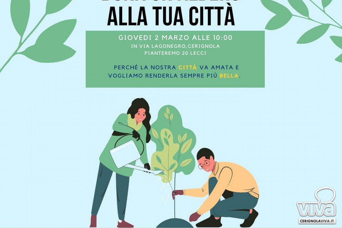 Verde urbano a Cerignola: gli alberi del finto pepe o pepe rosa