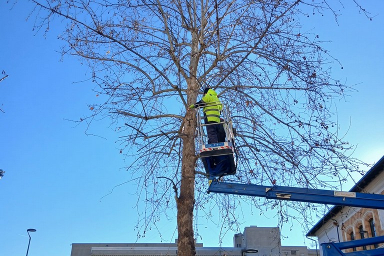 Interventi per la cura del verde pubblico