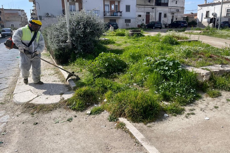 Cura del verde pubblico