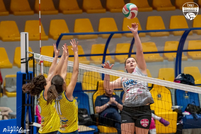 Pallavolo Cerignola. <span>Foto Sara Angiolino</span>