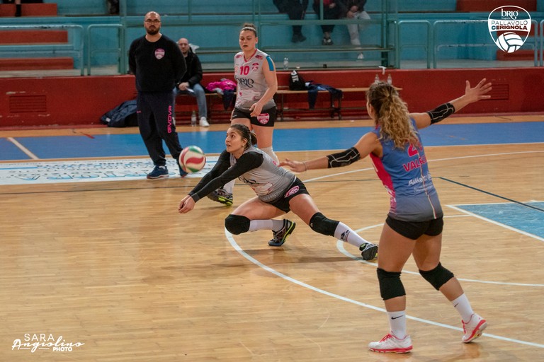 Pallavolo Cerignola. <span>Foto Sara Angiolino</span>