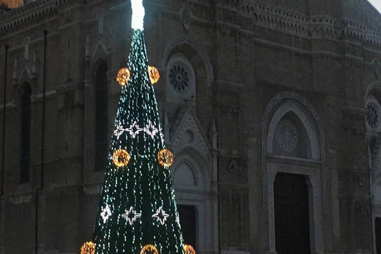 Albero Piazza Duomo