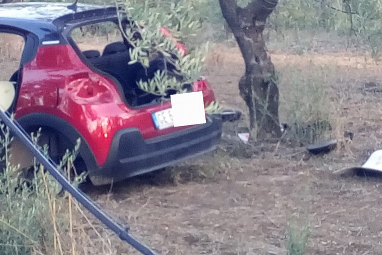 auto marasco