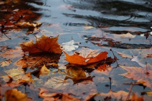 meteo autunno