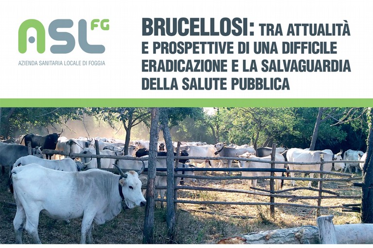 Convegno Burcellosi ASL