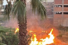 Incendio in via Maddaloni, la denuncia dei titolari: «Situazione insostenibile»