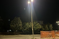 Palo a rischio crollo su viale Fra Daniele: quanto bisognerà aspettare?