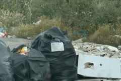 Rifiuti abbandonati nei dintorni della Lidl: la condanna dell'amministrazione di Cerignola