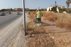 Manutenzione verde pubblico a Cerignola, ripreso lo sfalcio d'erba nel quartiere Torricelli