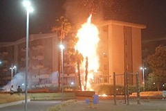 Incendio nel Parco 2 Giugno a Cerignola : palme avvolte dalle fiamme nella notte