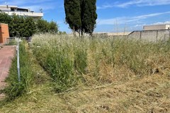 Manutenzione dei terreni privati a Cerignola: obblighi, sicurezza e prevenzione incendi