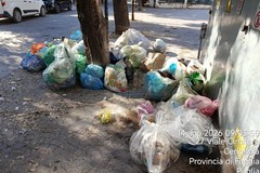 Rifiuti abbandonati a Cerignola, interventi straordinari anche a Ferragosto