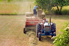 Coldiretti Puglia, la sfida del cibo riparte dai contadini