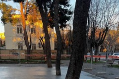 Movimento Politico La Cicogna Cerignola: “Davanti al cantiere del parco manca il cartello obbligatorio per legge”