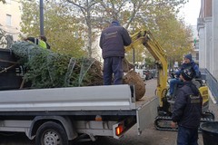 Movimento Cinque Stelle Cerignola: piantati 41 nuovi alberi