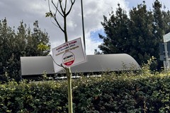 Movimento Cinque Stelle Cerignola: sulla Festa dell'albero arriva la replica a Gianvito Casarella (FDI Cerignola)