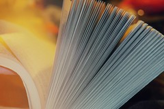 Anche a Cerignola in programma Bibliopride: l'adesione della Biblioteca di Comunità