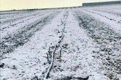 Meteo Cerignola: torna il maltempo e la neve a bassa quota