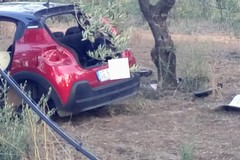 Marasco e Ispettori Ambientali Territoriali Civilis: “In una settimana trovate in agro di Cerignola 35 auto cannibalizzate"