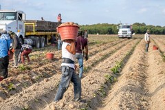 «La Caritas Diocesana non può essere lasciata sola»