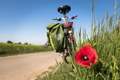 Poche biciclette a Cerignola, ma le piste ciclabili ci sono: e se ci fossero anche gli incentivi?