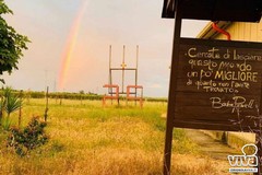 Nico Marro, Gruppo Scout Cerignola 2: “Il 90% degli alberi del nuovo parco urbano è stato da noi piantato e curato per oltre cinque anni”