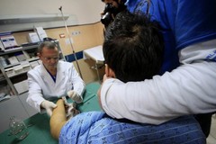 Botti di fine anno, sette le persone ferite in provincia di Foggia