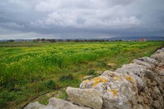 Regione Puglia: bando restauro e la valorizzazione del patrimonio architettonico e paesaggistico rurale
