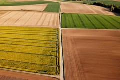 Cia propone un "tavolo verde" per sostenere l'agricoltura di Cerignola